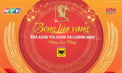 Bông lúa vàng - 7/2/2026