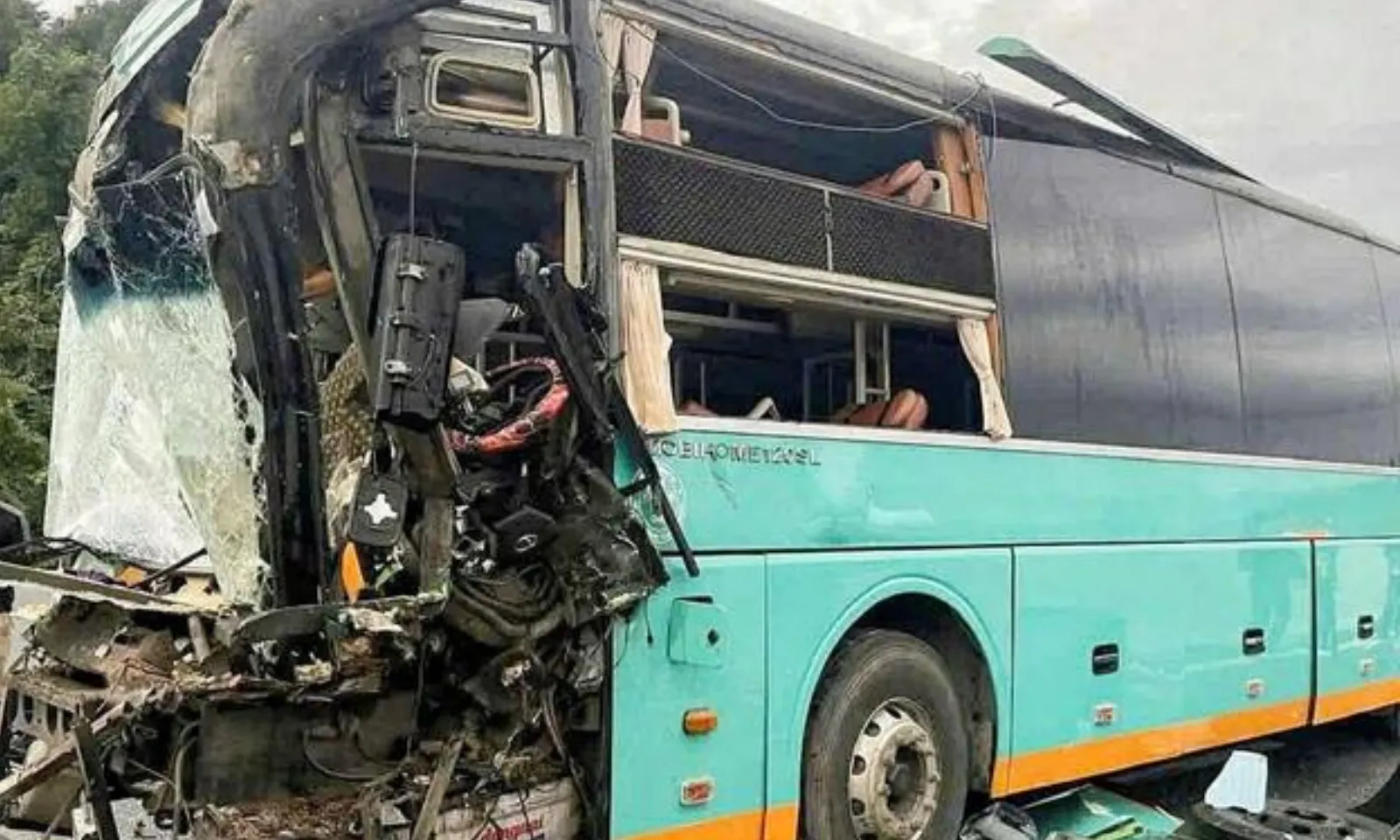 ảnh minh họa + thumb  (5)