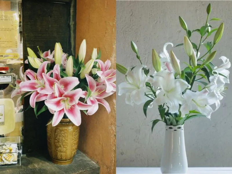 voh-cach-cam-hoa-ly-4