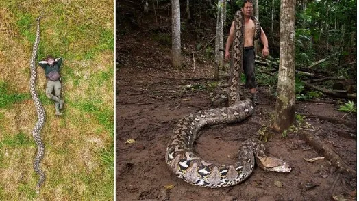 voh.com.vn-tran-khong-lo-1