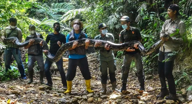 voh.com.vn-tran-khong-lo