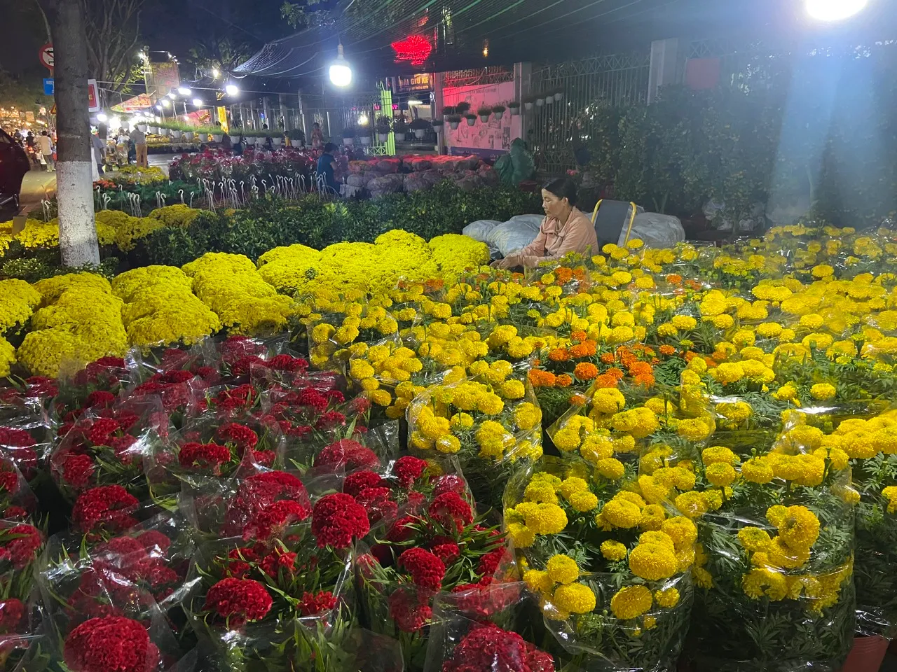 db973cf46eeee0b0b9ff