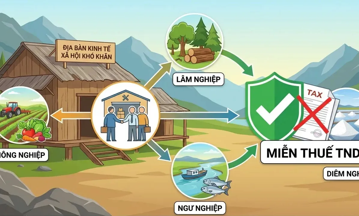 Ưu đãi thuế thu nhập doanh nghiệp theo Luật 67: Doanh nghiệp cần biết gì?