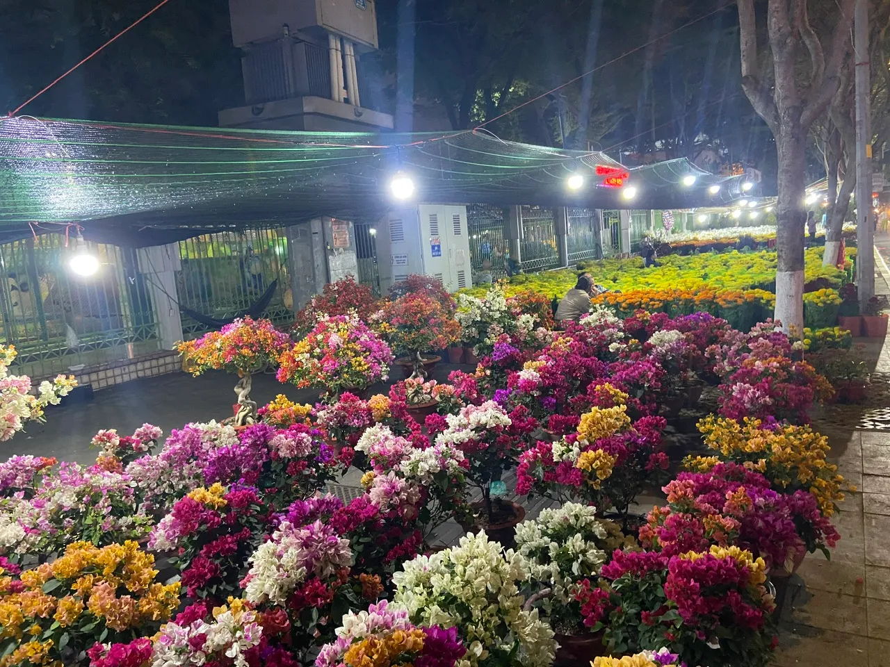 f902ed1bbf01315f6810