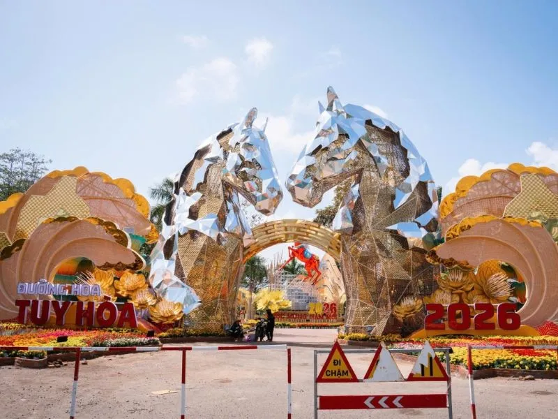 voh-linh-vat-ngua-tet-14