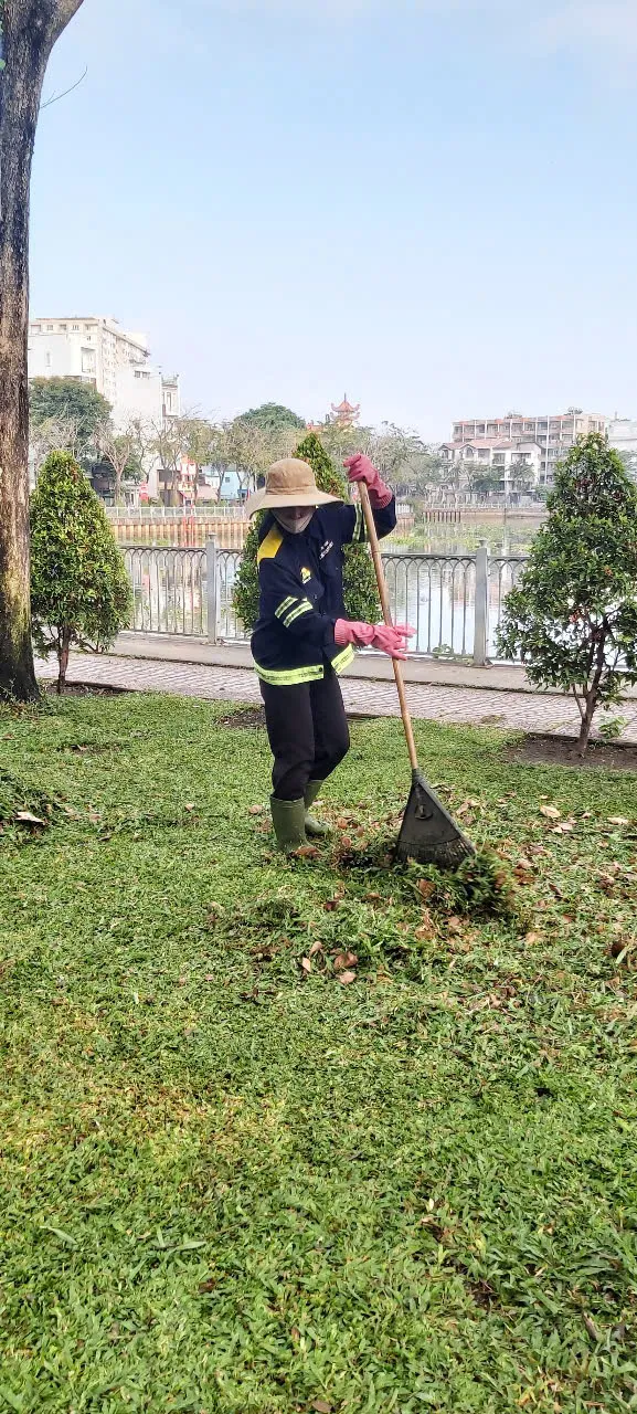 Làm đẹp mảng xannh TP