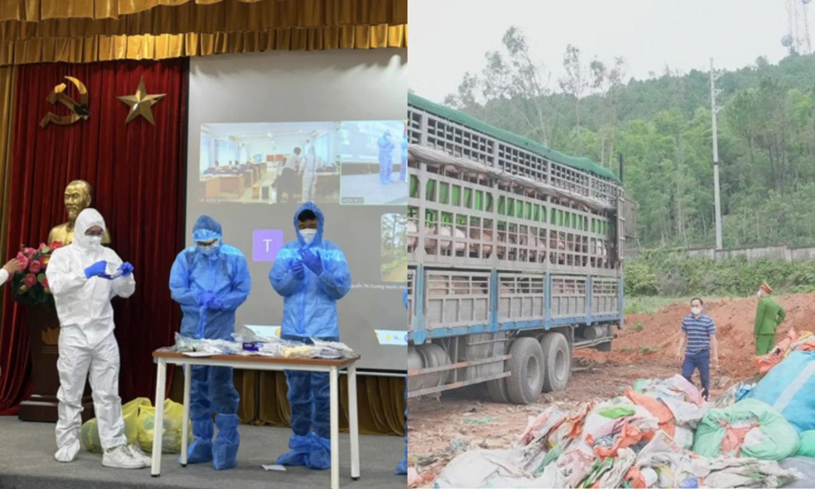 Điểm tin sáng 12/2: TPHCM lập 10 đội đáp ứng nhanh phòng dịch | Chặn 15 tấn lợn dịch tả lợn châu Phi