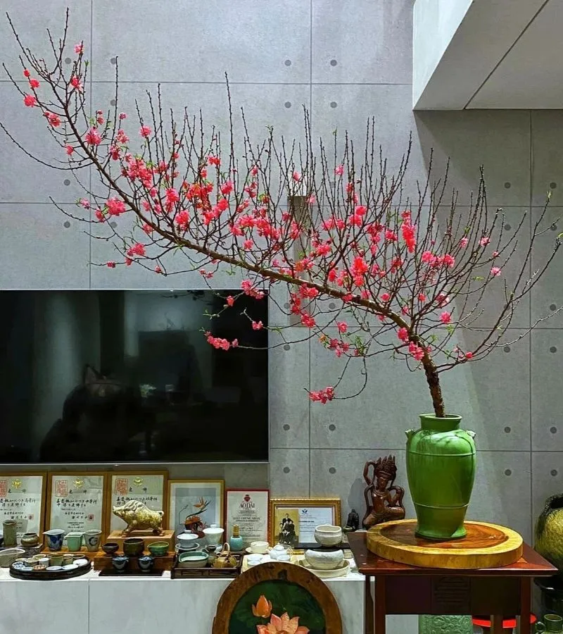 voh-cach-cam-hoa-dao-tet-16