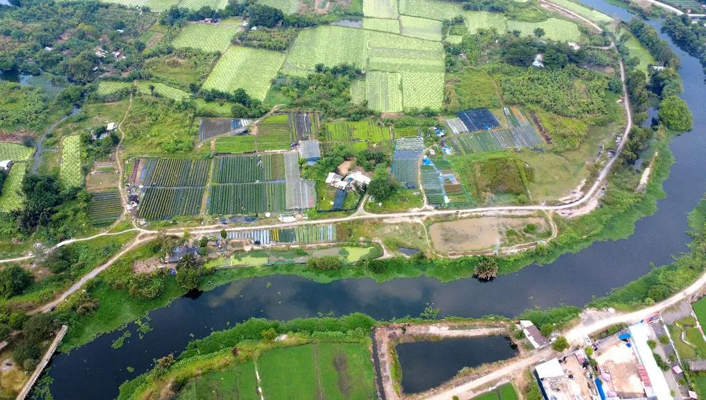 ccccc_20260211172129