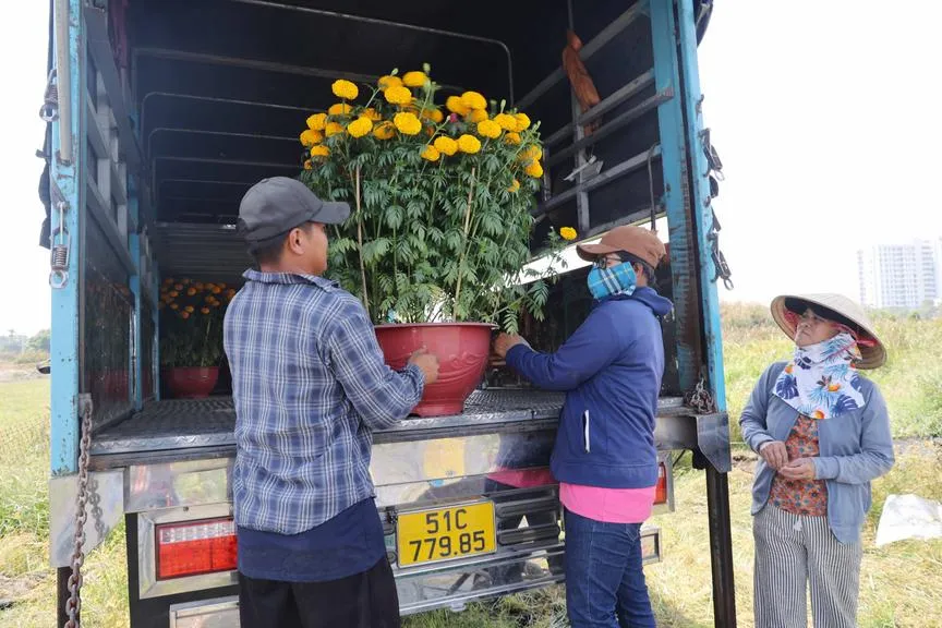 ttdt1116_20260211172227