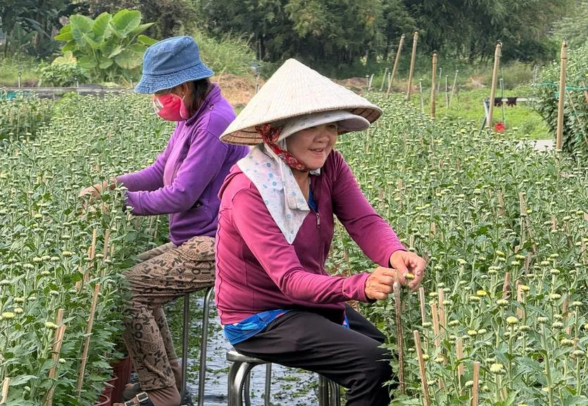 screenshot-2026-02-11-at-16-59_20260211172155