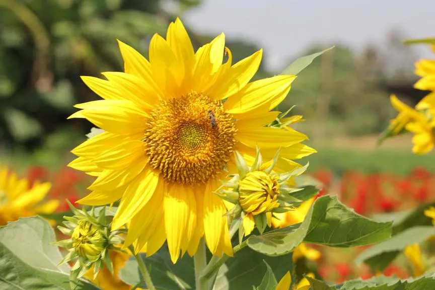 ttdt1168_20260211172236