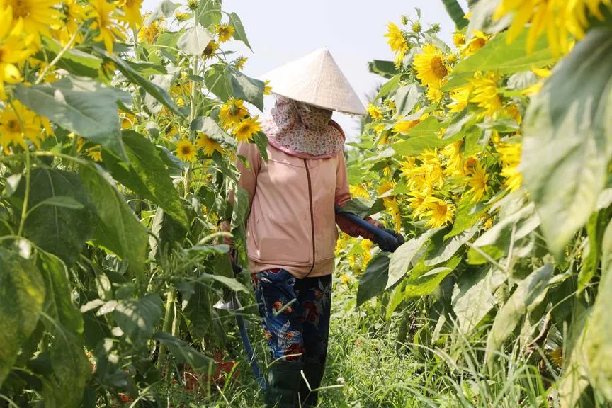 ttdt1178_20260211172232