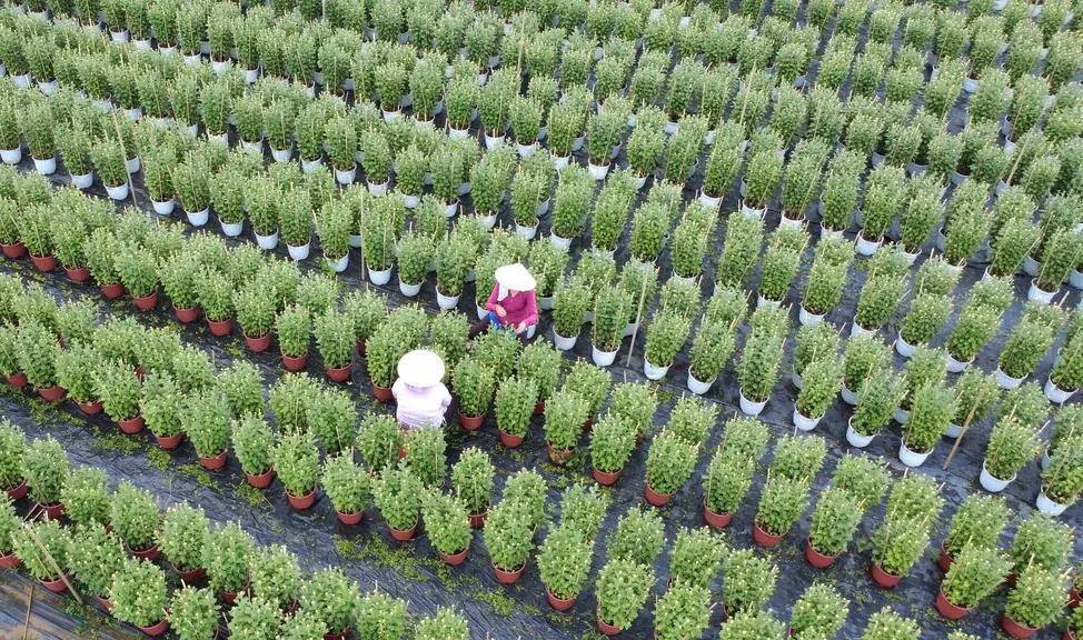 screenshot-2026-02-11-at-16-57_20260211172212