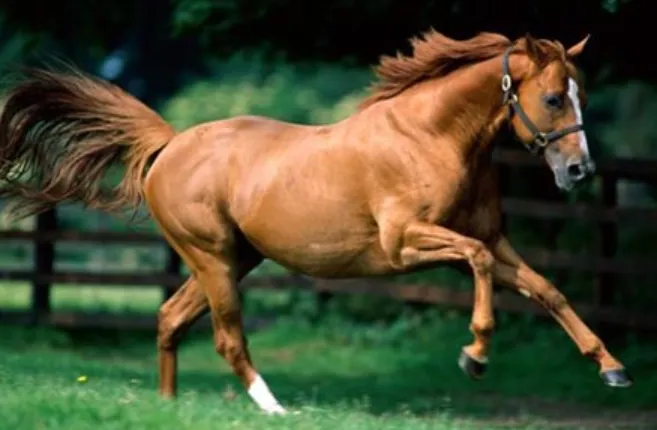 Ảnh chụp màn hình (240)