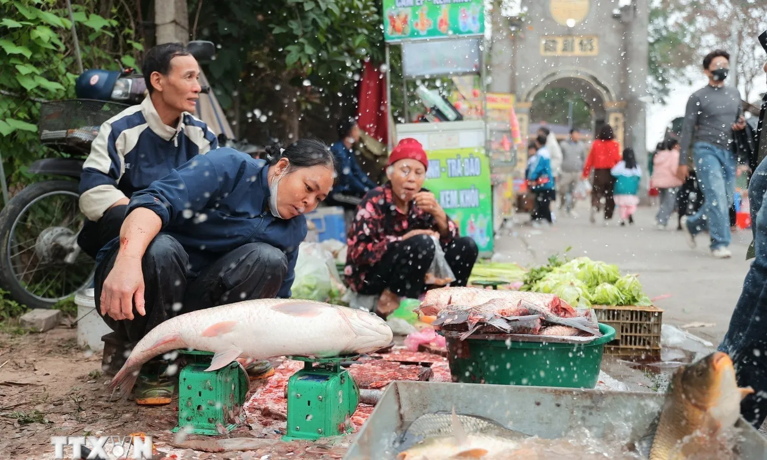 Mùng 3 Tết: Nguồn cung hàng hóa dồi dào, giá cả ổn định