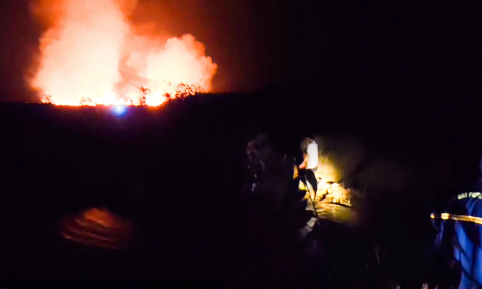 ảnh minh họa + thumb  - 1