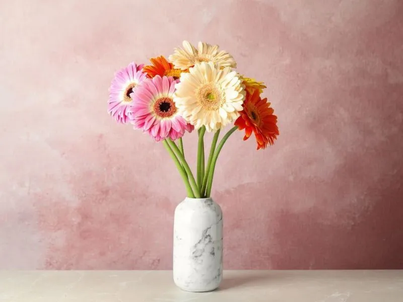 voh-hoa-cung-ram-thang-gieng-4