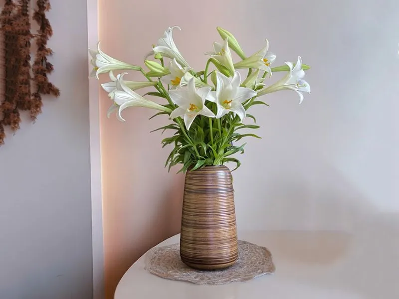 voh-hoa-cung-ram-thang-gieng-7