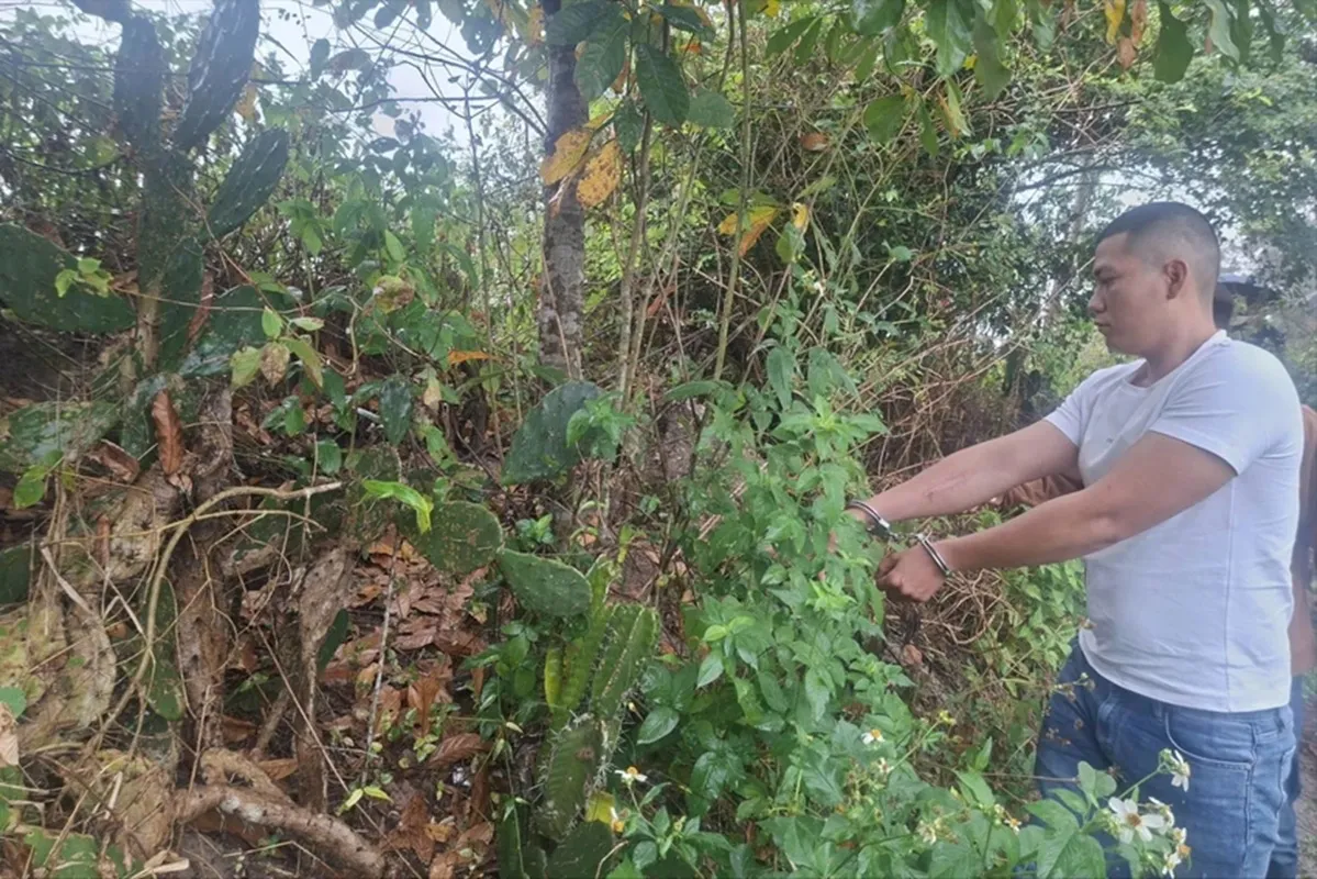 Sau khi khống chế người phụ nữ cướp tài sản, Toàn phi tang tang vật liên quan tại bụi cây ven đường - Ảnh CA