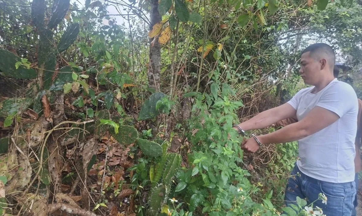 Giật vàng giữa ban ngày dịp vía Thần Tài, người đàn ông bị khởi tố