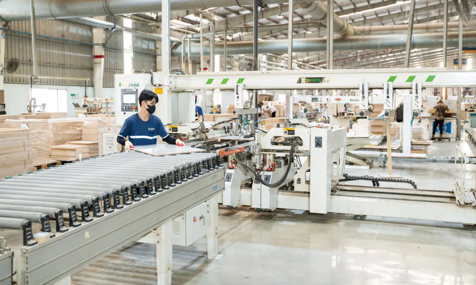 Ngành gỗ xoay trục thị trường trước biến động thuế quan Mỹ - Hình 2