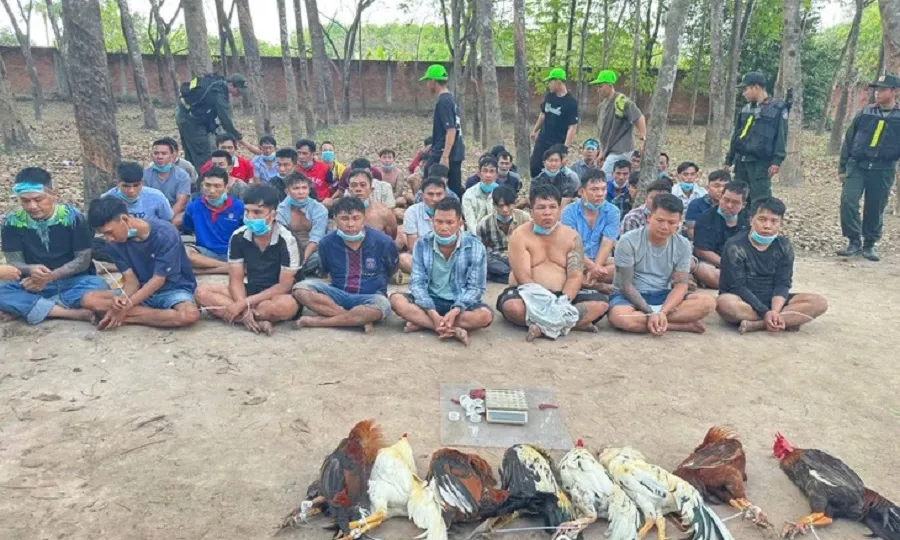 Công an TPHCM đột kích trường gà, sòng bạc dịp Tết