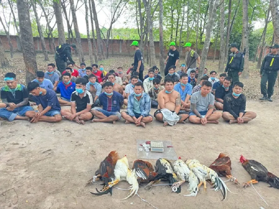 img17723307196901772330733885-17723314553322124805637