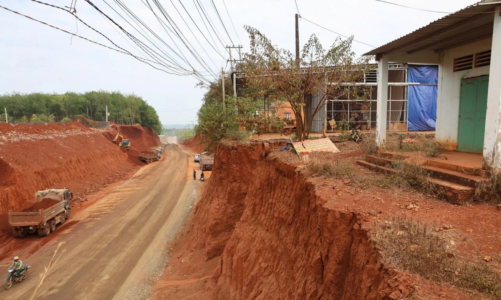 ảnh minh họa + thumb  - 2