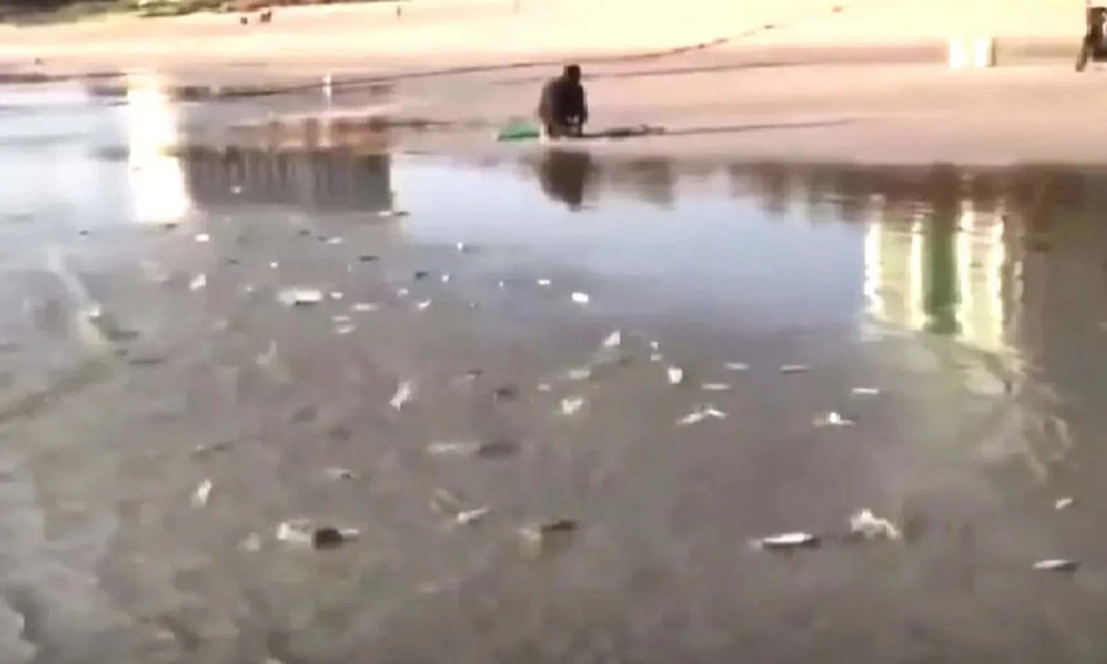 ảnh minh họa + thumb  - 2