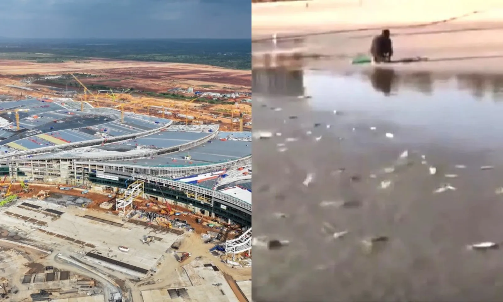 Điểm tin chiều 3/3: Triển khai đường sắt TPHCM-Long Thành|Hàng ngàn con cá trích dạt vào Khánh Hoà