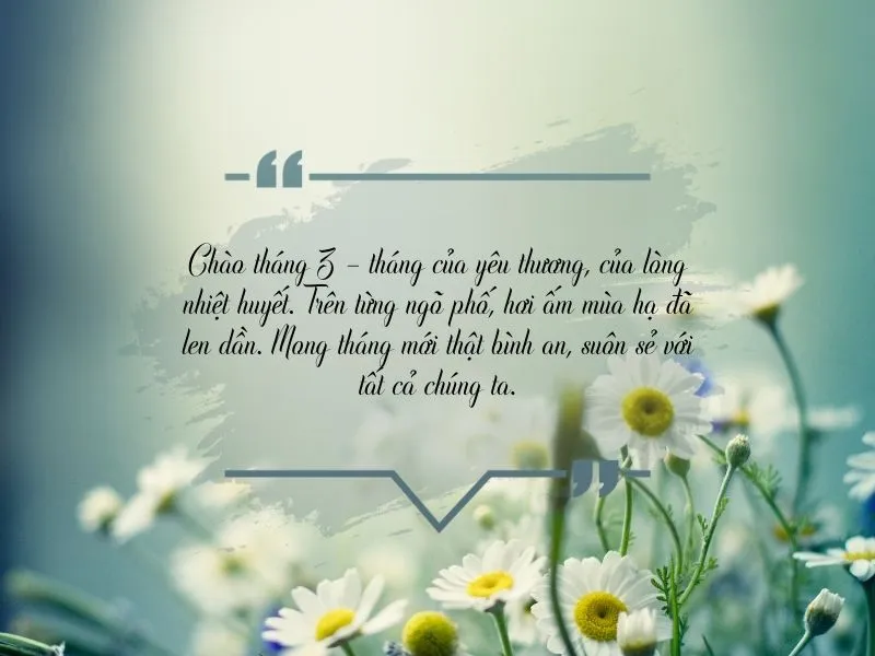 voh-stt-chao-thang-3-1