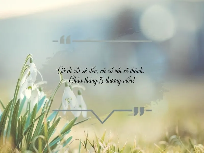 voh-stt-chao-thang-3-2