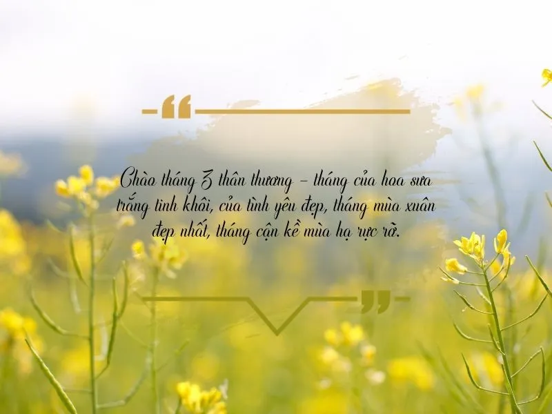 voh-stt-chao-thang-3-3