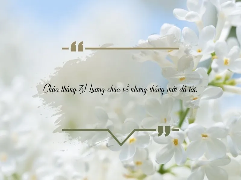 voh-stt-chao-thang-3-4