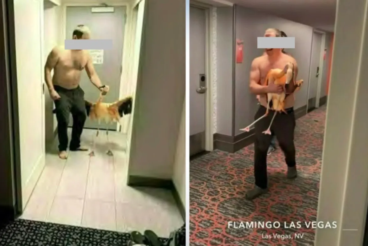 Hành vi của du khách này bị camera khách sạn ghi lại - Ảnh Fox5