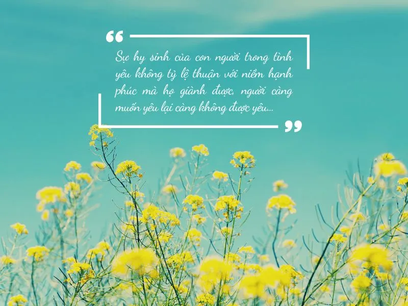 voh-cau-noi-hay-danh-ngon-hy-sinh-1