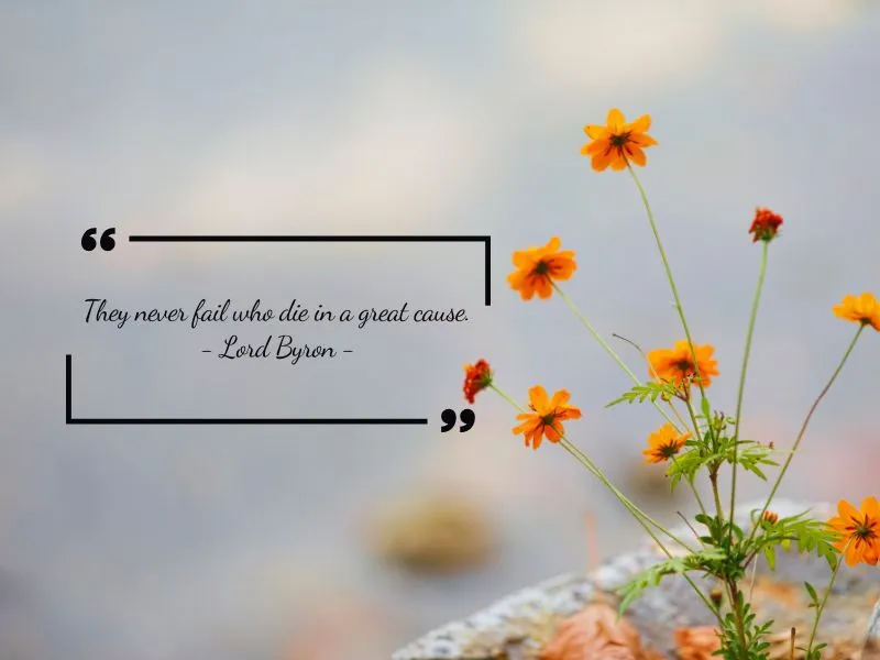 voh-cau-noi-hay-danh-ngon-hy-sinh-2