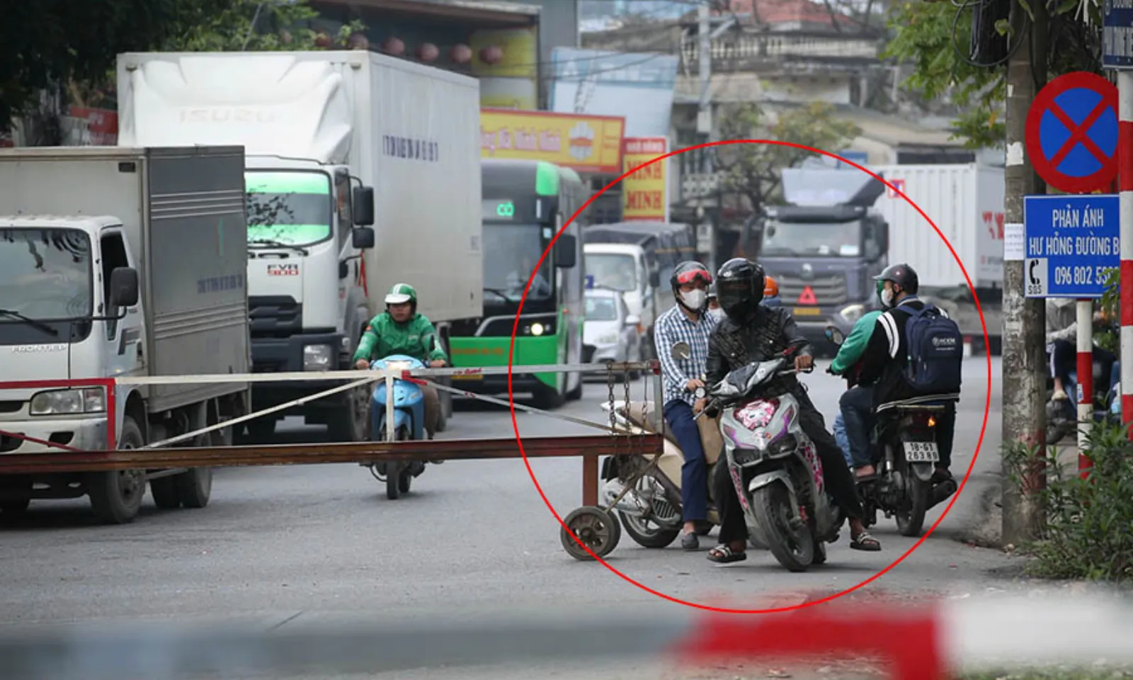 ảnh minh họa + thumb  (4)