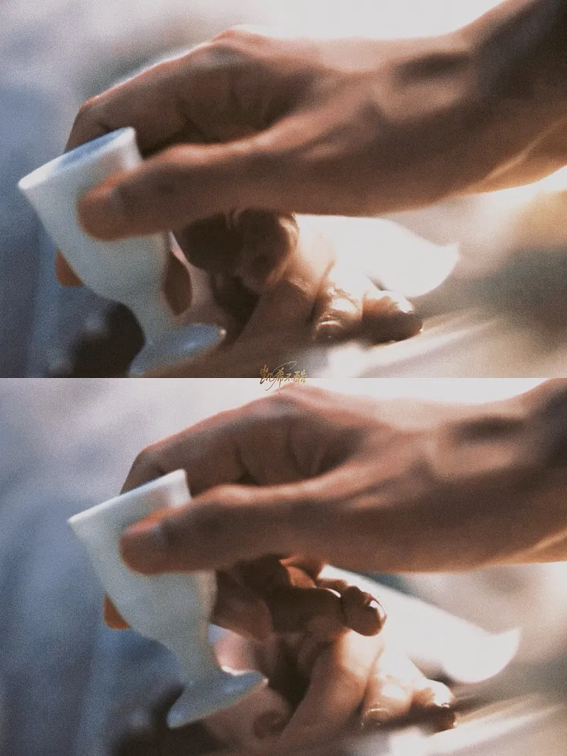 voh-truc-ngoc-da-co-cp-chinh-hot-ran-ran-cp-phu-cung-banh-cuon-khong-kem-10