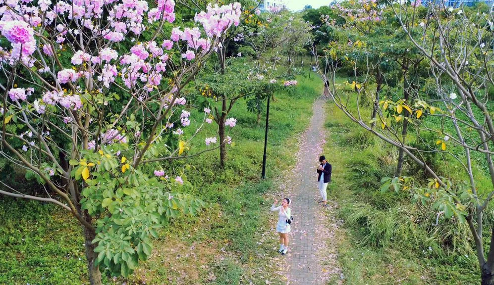 0312-9_20260312175301