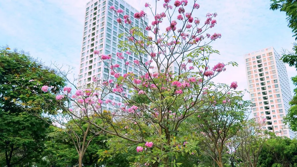 0312-6_20260312175633