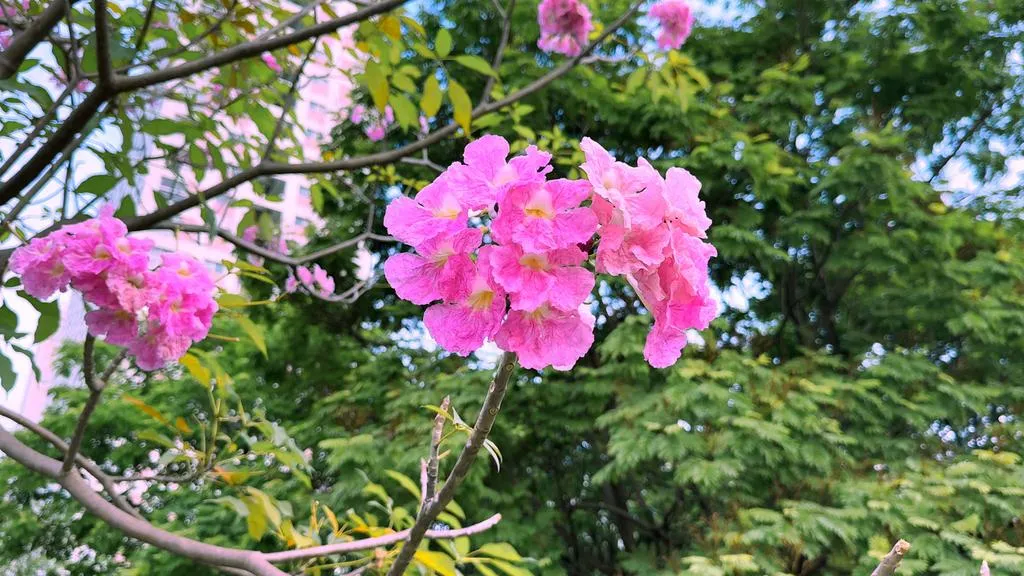 0312-1_20260312175312