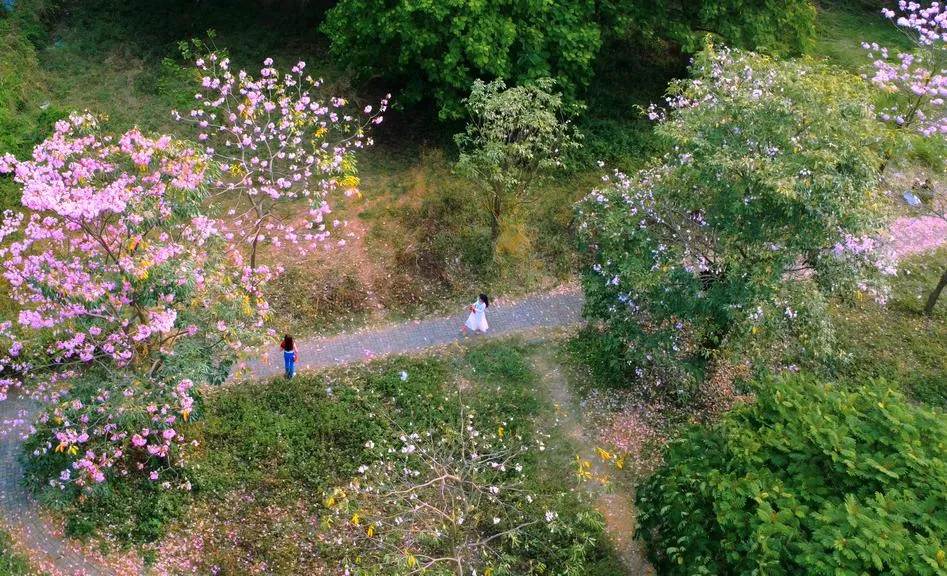 0312-15_20260312175316