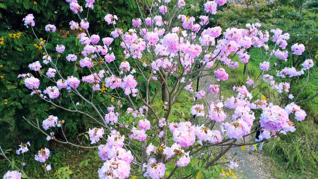 0312-5_20260312175307