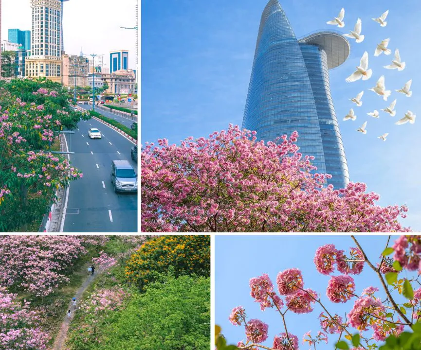 Orange White Clean Minimal Seoul Korea Travel Vlog Youtube Thumbnail (4)