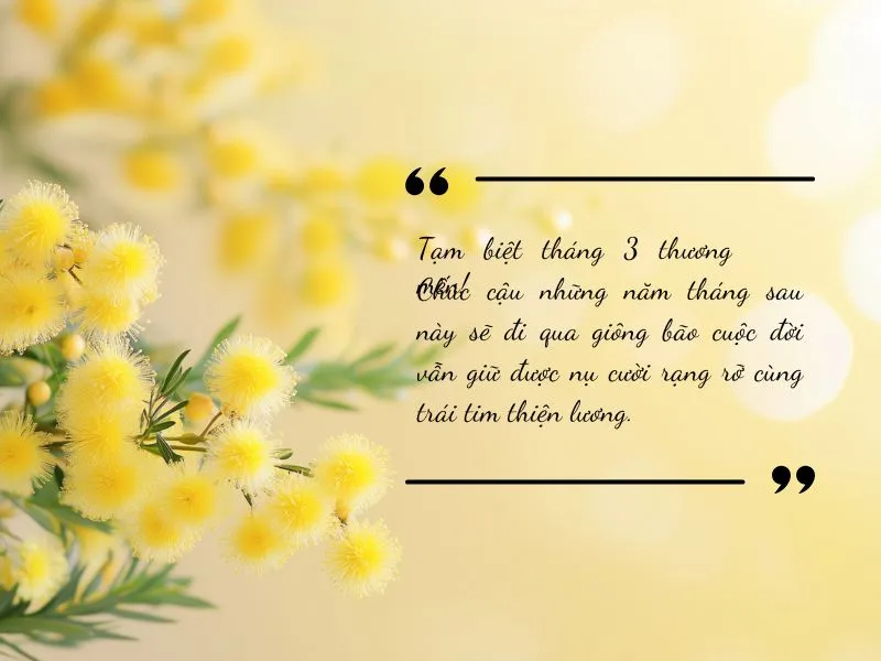 voh-stt-tam-biet-thang-3-1