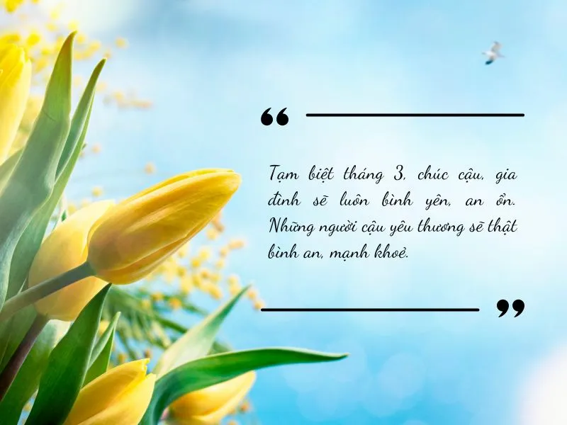 voh-stt-tam-biet-thang-3-2