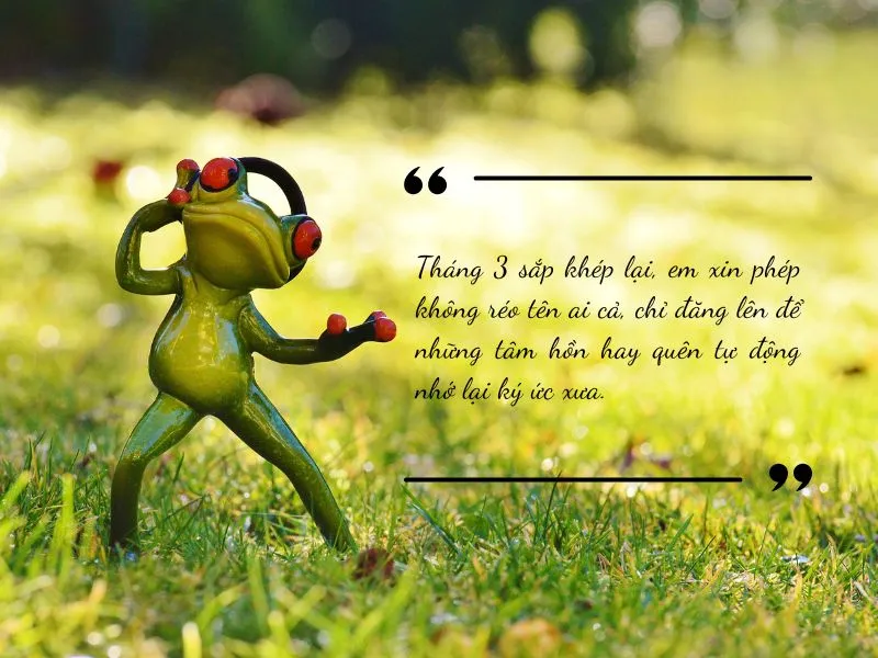 voh-stt-tam-biet-thang-3-3