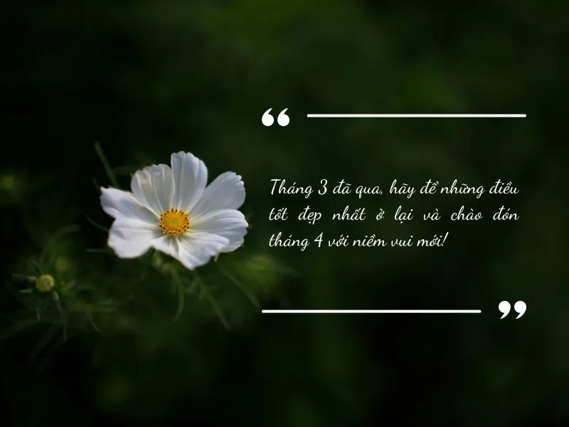 voh-stt-tam-biet-thang-3-4